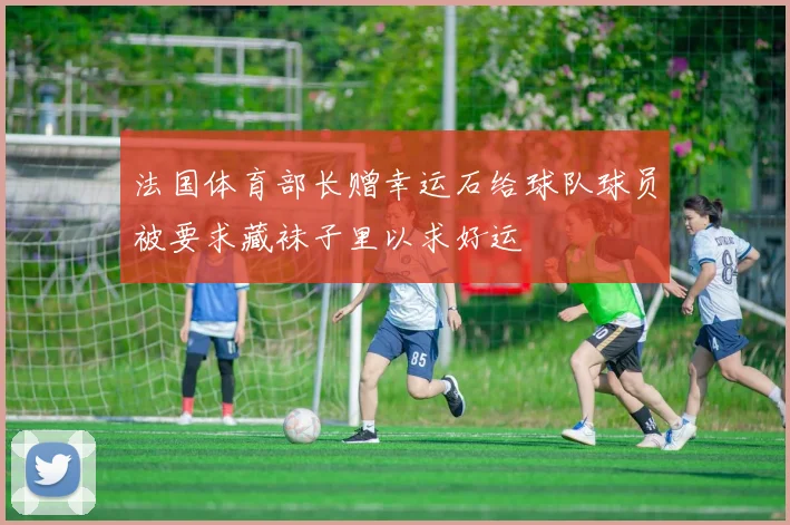 法国体育部长赠幸运石给球队球员被要求藏袜子里以求好运
